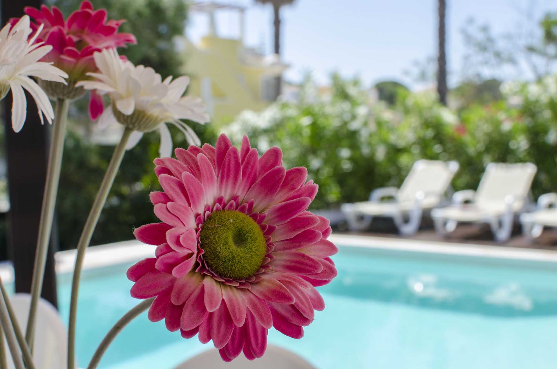 Villa Camilla Image 6