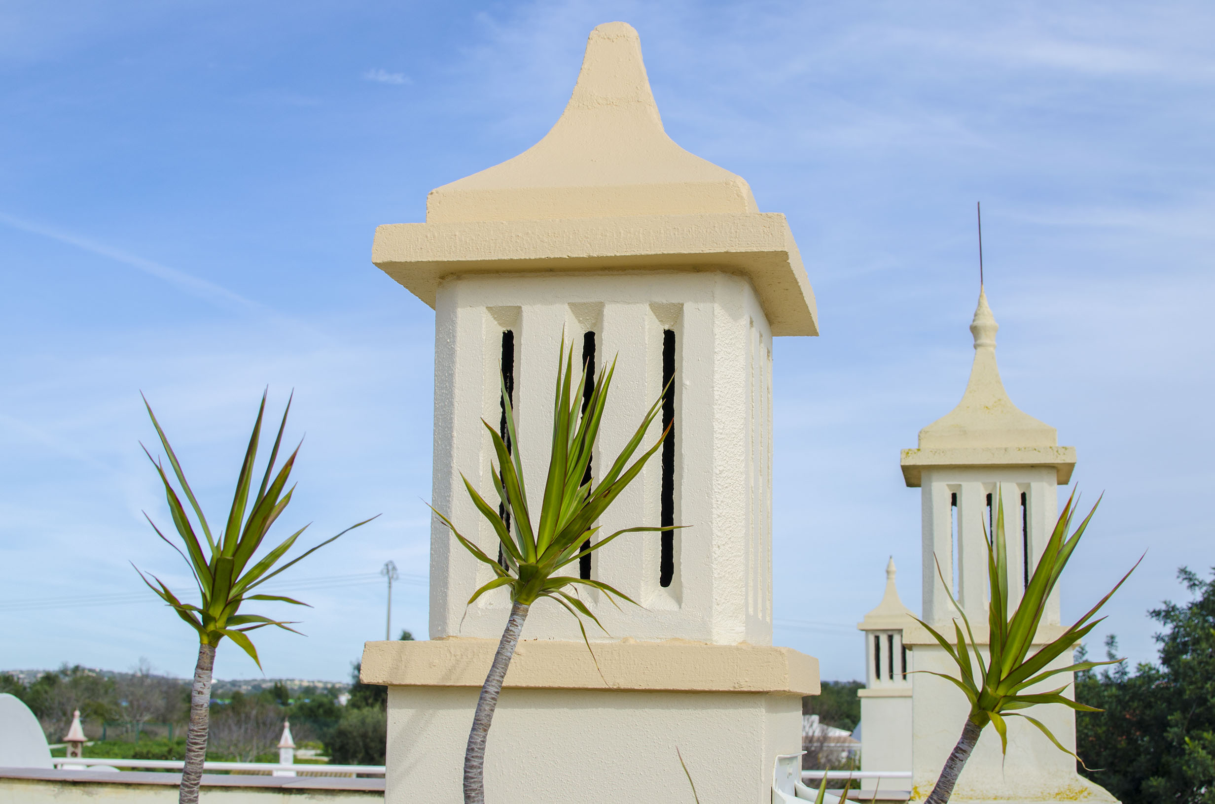 Casa Mariana Image 23