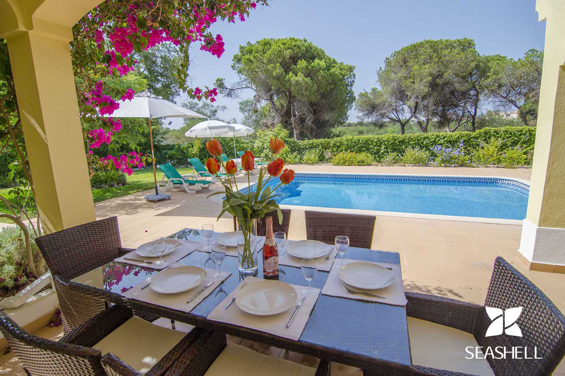 Villa Bonita Image 7