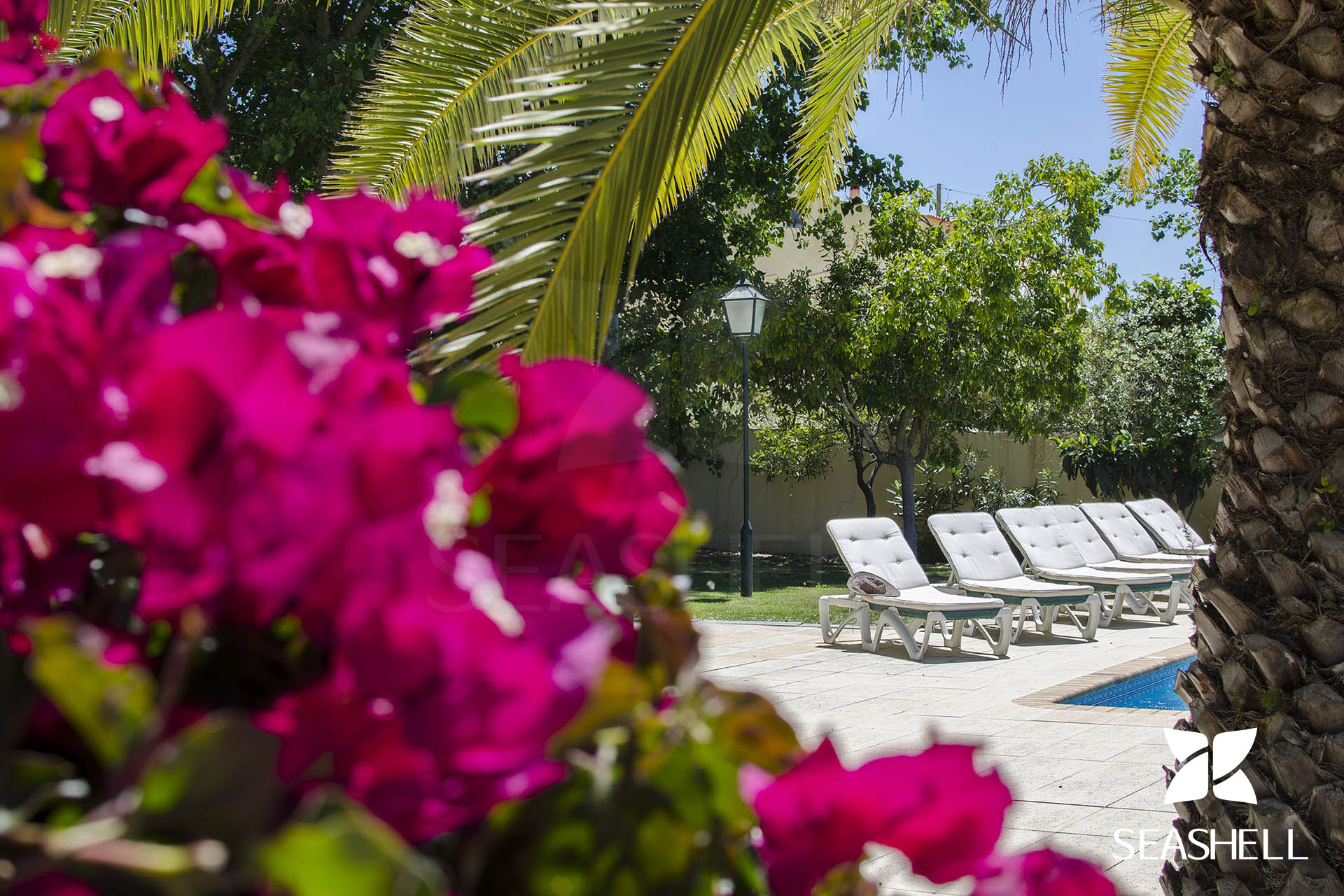 Villa Caravela Garden Image 31