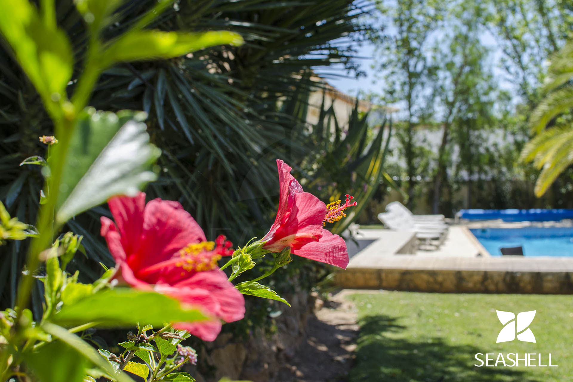 Villa Caravela Garden Image 9