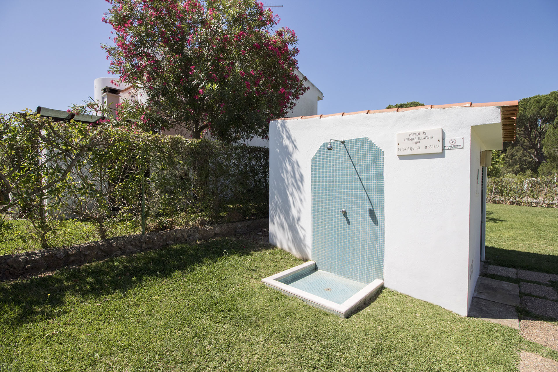 Casa Palmeira Image 11