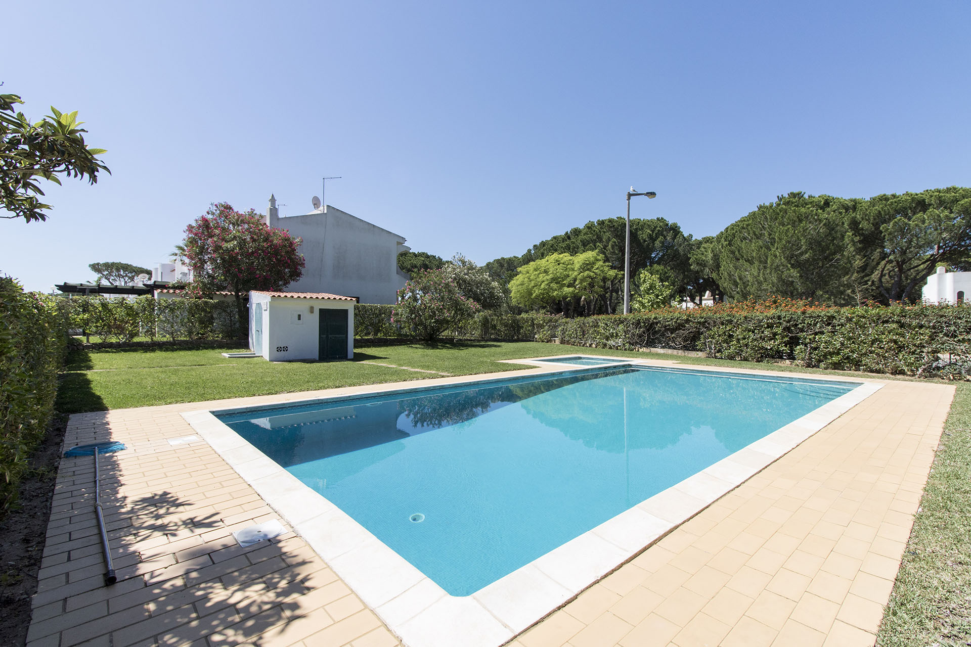 Casa Palmeira Image 2