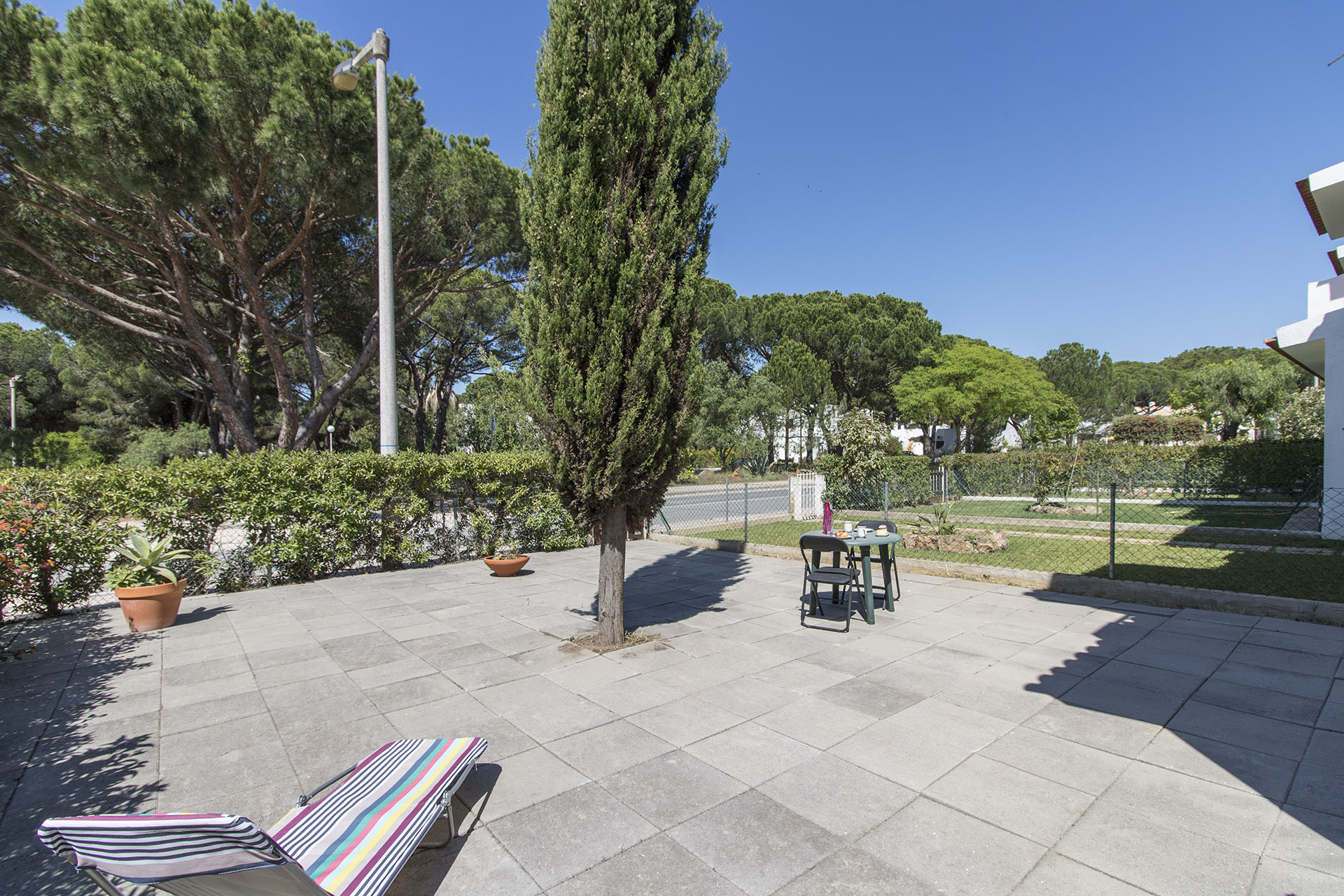 Casa Palmeira Image 13