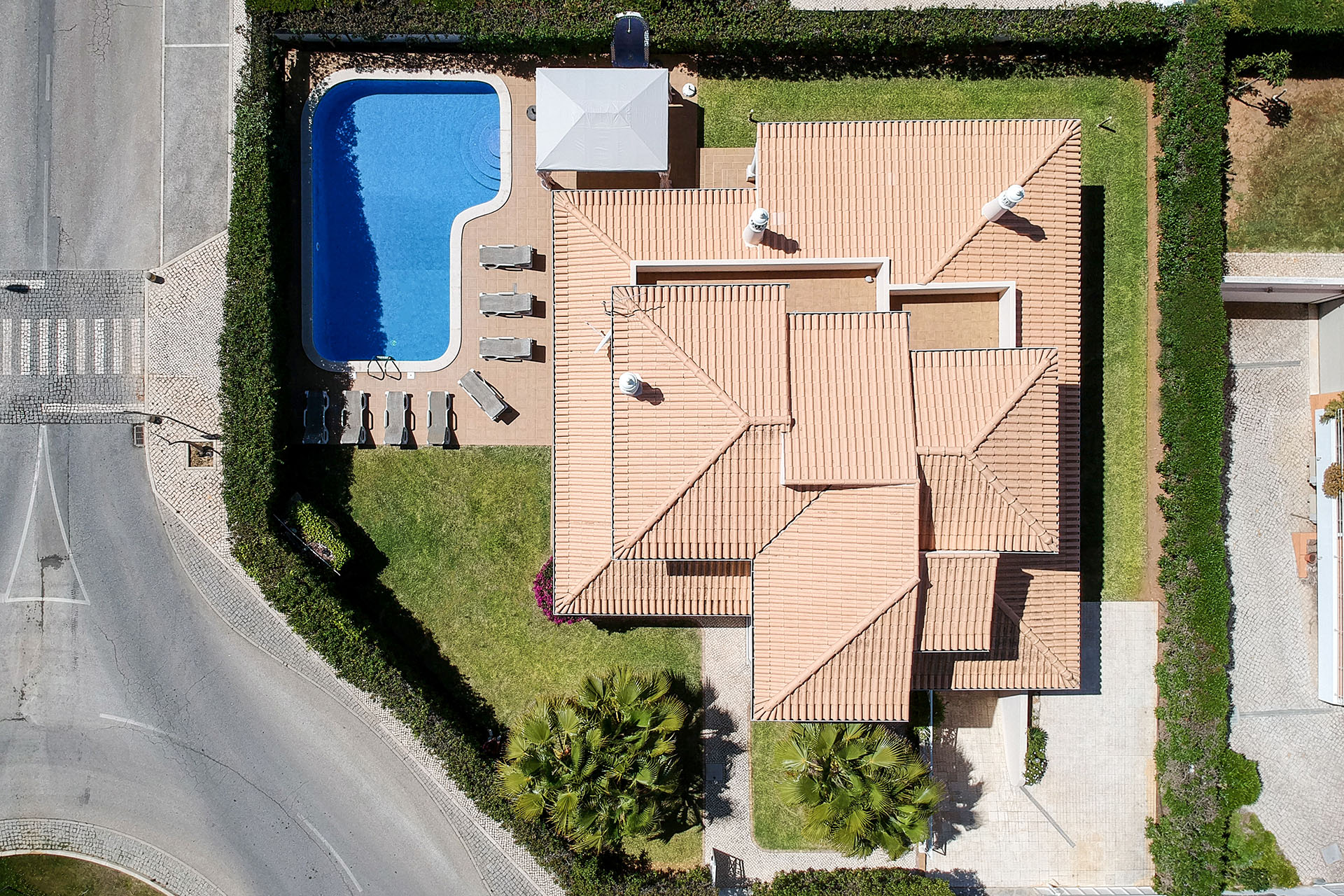 Villa Tulipa Image 4