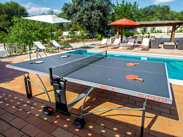 Table Tennis Table Table Tennis Table