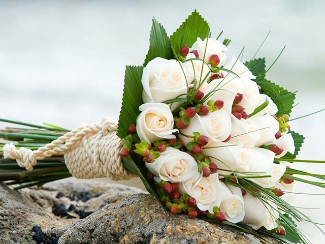 special occasions Special Occasions